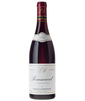 Pommard 2019 Domaine Lucien...