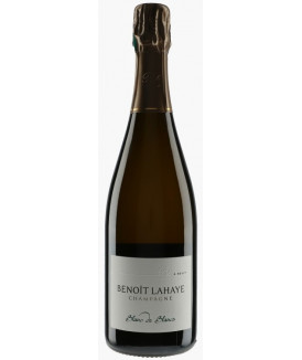 Champagne "Blanc de Blancs"...