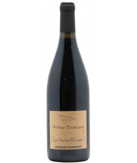 Saumur Champigny "Les...