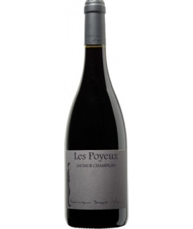 Saumur Champigny "Les...