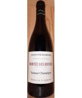 Saumur Champigny "Montée...