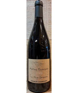 Saumur Champigny "La Haye...