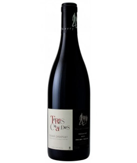 Saumur Champigny "Terres...