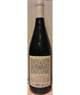 Saumur Champigny "Les...