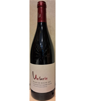 Saumur-Puy-Notre-Dame...