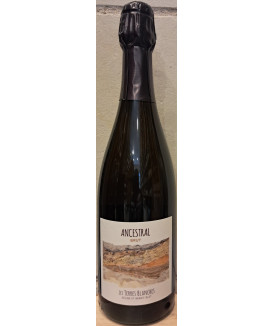 Pétillant Naturel Blanc...