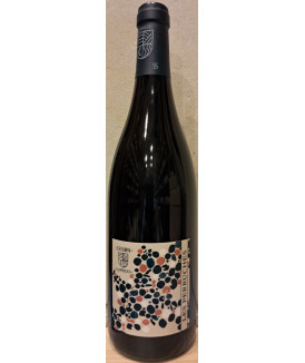 Chinon Rouge "Les...