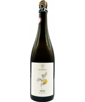 Pétillant Naturel Blanc...