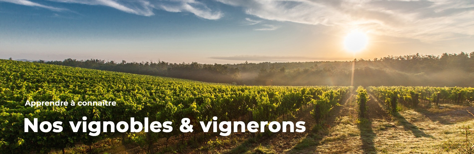 Nos vignobles & vignerons